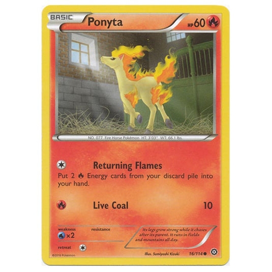 Pokemon - XY - Steam Siege - Ponyta - 16/114