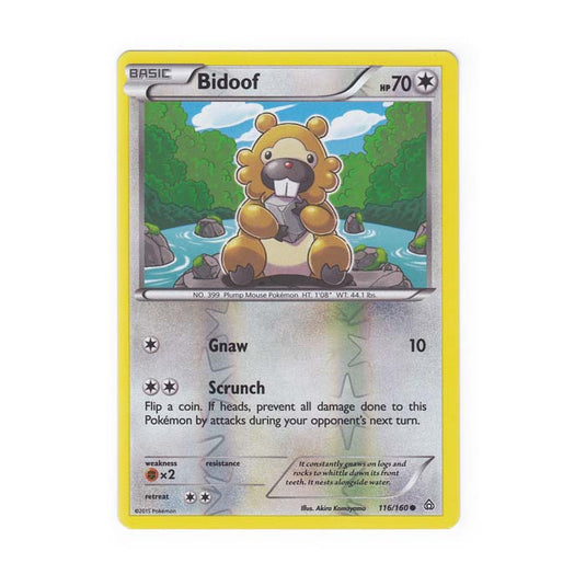 Pokemon - XY Primal Clash - (Reverse Holo) - Bidoof - 116/160