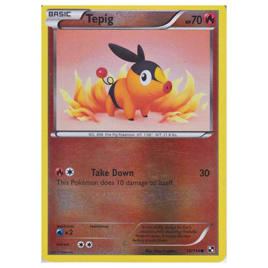 Pokemon - Black & White - (Reverse Holo) Tepig 16/114