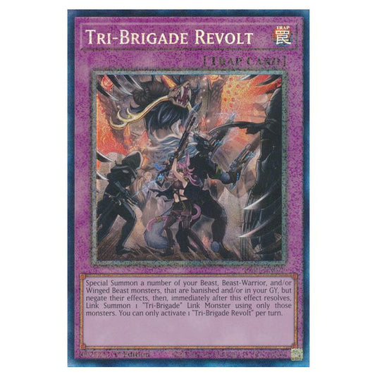 Yu-Gi-Oh! - 25th Anniversary Rarity Collection - Tri-Brigade Revolt (Collector's Rare) RA01-EN079-CR