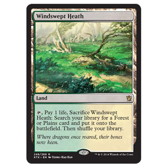 Magic the Gathering - Khans Of Tarkir - Windswept Heath - 248/269