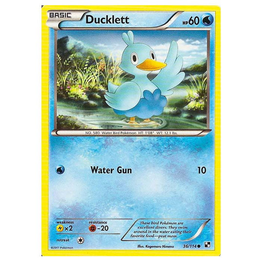 Pokemon - Black & White - Ducklett 36/114