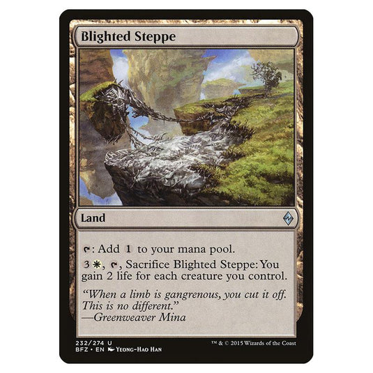 Magic The Gathering - Battle For Zendikar - Blighted Steppe - 232/274