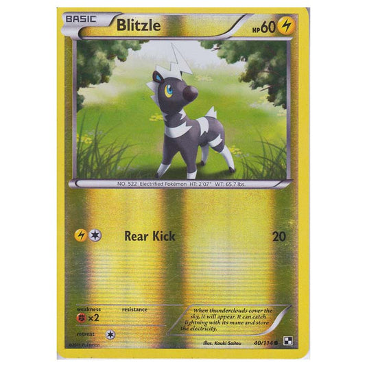 Pokemon - Black & White - (Reverse Holo) Blitzle 40/114
