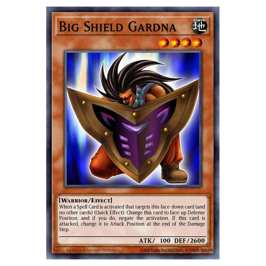 Yu-Gi-Oh! - Yugi's Legendary Decks - Big Shield Gardna (Common) YGLD-ENB14