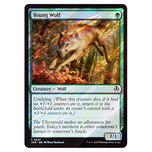 Young Wolf 227 card from the Magic The Gathering set Innistrad Remastered