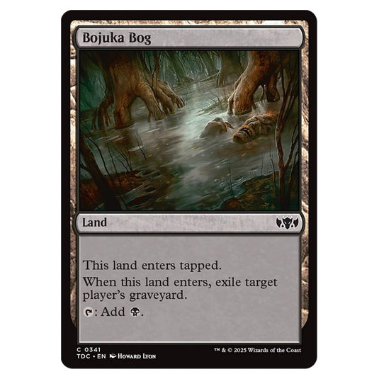 Bojuka Bog 0341 card from the Magic The Gathering set Tarkir: Dragonstorm Commander
