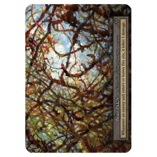 Briar Patch card from the Sorcery: Contested Realm set Arthurian Legends