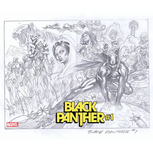 Black Panther - Issue 1 - 2nd printing Alex Ross Sketch Cover Variant