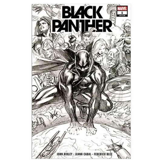 Black Panther - Issue 1 - 2nd printing Alex Ross Sketch Cover Variant