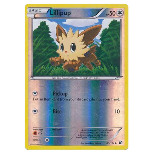 Pokemon - Black & White - (Reverse Holo) Lillipup 80/114