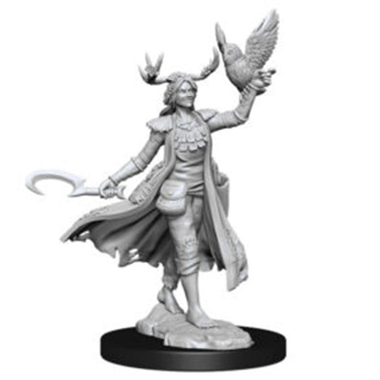 Dungeons & Dragons - Frameworks - Human Druid Female