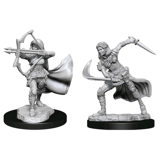 Dungeons & Dragons - Nolzur's Marvelous Miniatures - Air Genasi Female