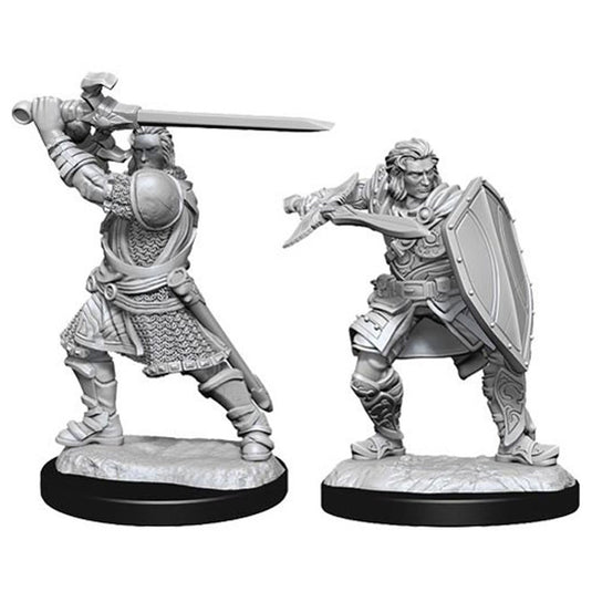 Dungeons & Dragons - Nolzur's Marvelous Miniatures - Human Paladin Male (2)
