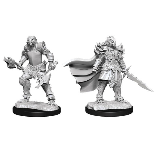 Dungeons & Dragons - Nolzur's Marvelous Miniatures - Dragonborn Fighter Female