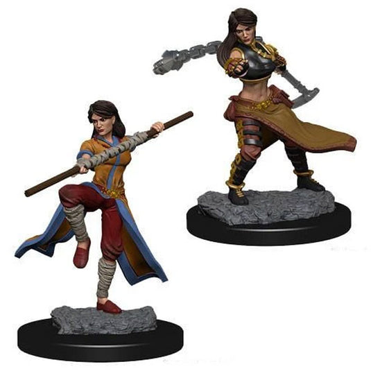 Dungeons & Dragons - Nolzur's Marvelous Miniatures - Female Human Monk 2