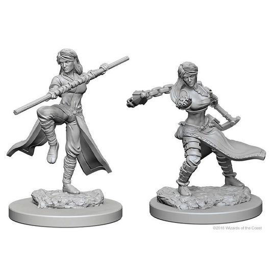 Dungeons & Dragons - Nolzur's Marvelous Miniatures - Female Human Monk 2