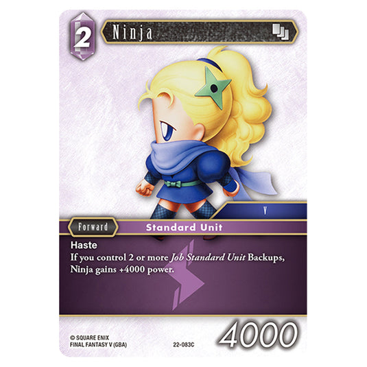 Final Fantasy - Hidden Hope - Ninja - 22-083C