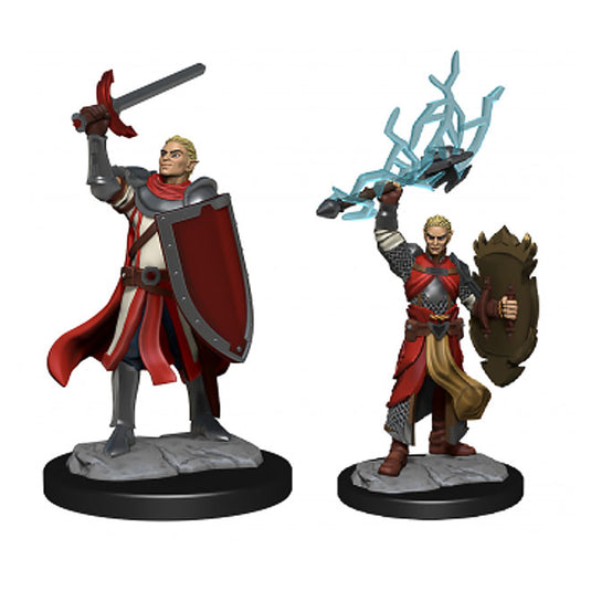 Dungeons & Dragons - Nolzur's Marvelous Miniatures - Half-Elf Paladin Male