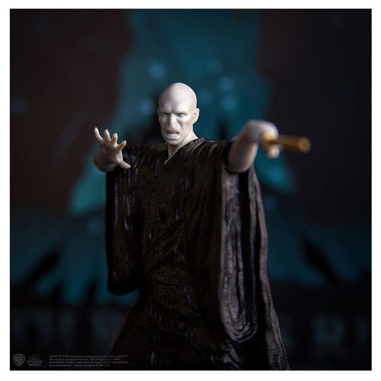 Harry Potter - Death Eaters Rising