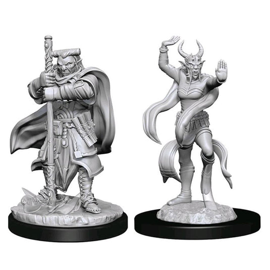 Dungeons & Dragons - Nolzur's Marvelous Miniatures - Hobgoblin Devastator & Hobgoblin Iron Shadow