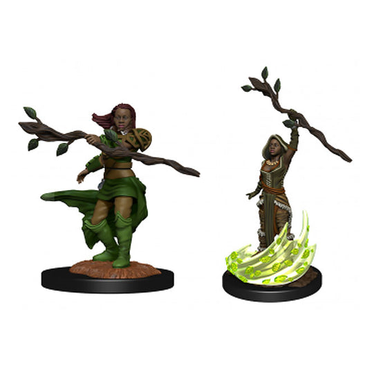 Dungeons & Dragons - Nolzur's Marvelous Miniatures - Human Druid Female