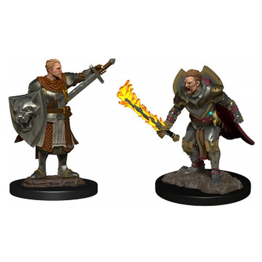 Pathfinder Deepcuts - Human Champion Male