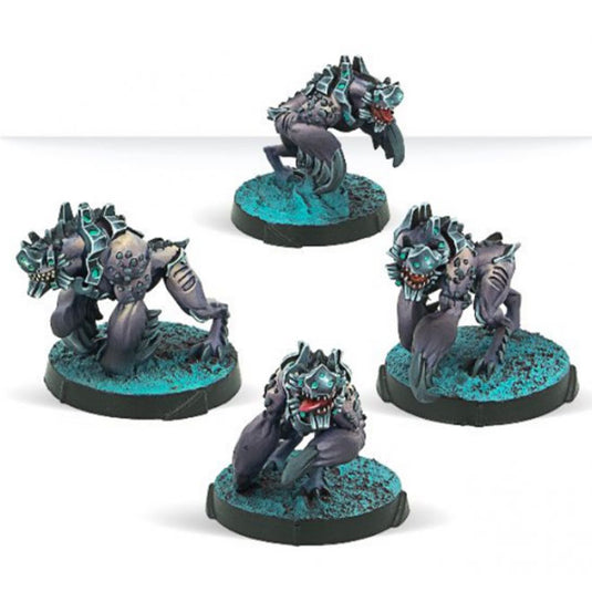 Infinity - Taigha Creatures