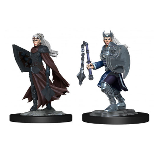 Dungeons & Dragons - Nolzur's Marvelous Miniatures - Kalashtar Cleric Female