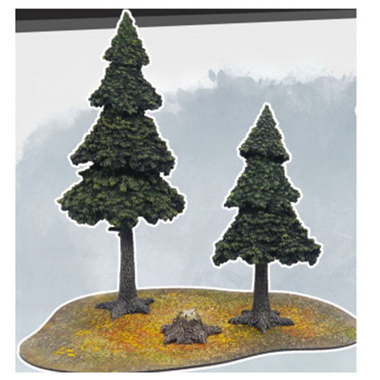 MFF - Evergreen Pine Forest