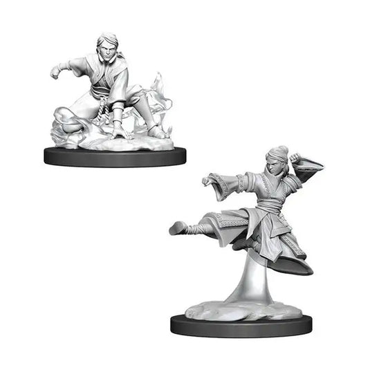 Dungeons & Dragons - Nolzur's Marvelous Miniatures - Female Human Monk