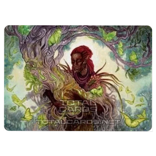 Magic The Gathering - Adventures in the Forgotten Realms - Art Series - Circle of Dreams Druid - 66/81