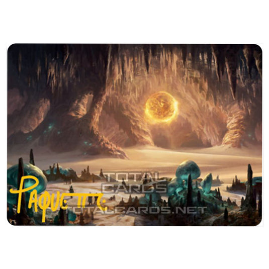 Magic The Gathering - Adventures in the Forgotten Realms - Art Series - Plains - 63/81 (Signed)