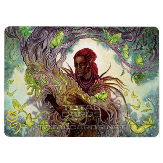 Magic The Gathering - Adventures in the Forgotten Realms - Art Series - Circle of Dreams Druid - 66/81 (Signed)