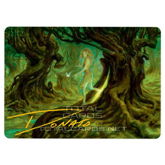 Magic The Gathering - Adventures in the Forgotten Realms - Art Series - Neverwinter Dryad - 69/81 (Signed)