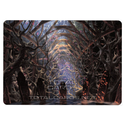 Magic The Gathering - Kaldheim - Art Series - Skemfar Elderhall - 73/81