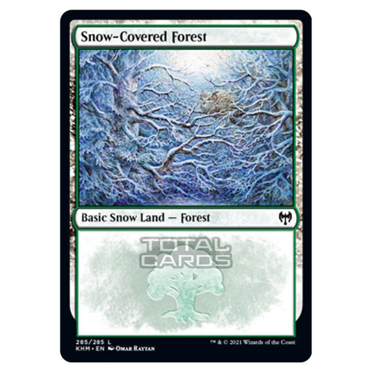 Magic The Gathering - Kaldheim - Snow-Covered Forest - 285/285