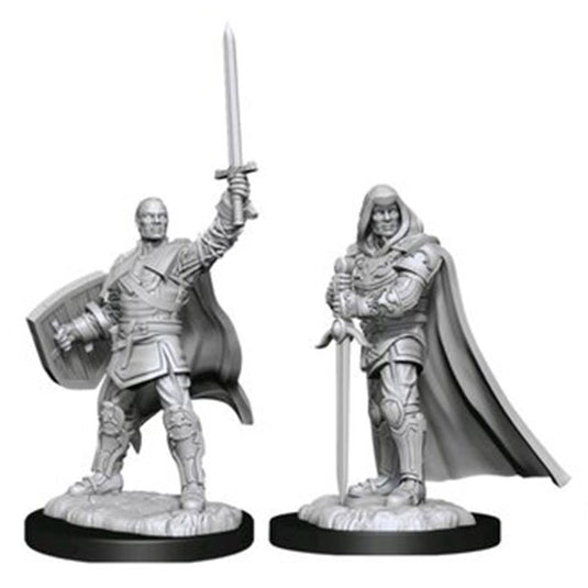 Dungeons & Dragons - Nolzur's Marvelous Miniatures - Human Paladin Male
