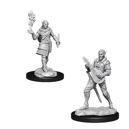 Critical Role - Pallid Elf Rogue and Bard Male