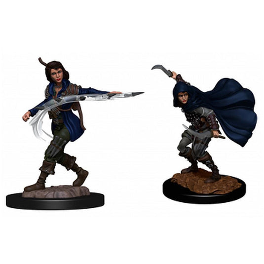 Pathfinder Deepcuts - Human Rogue Female