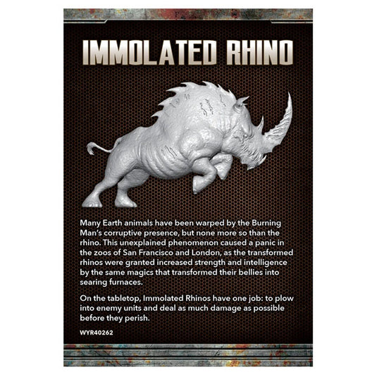 The Other Side - Immolated Rhino