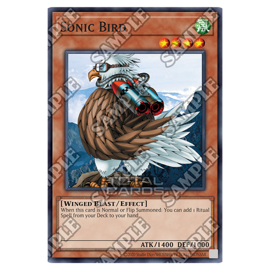 Yu-Gi-Oh! - Spell Ruler - 25th Anniversary Reprint - Sonic Bird (Common) SRL-25-EN093
