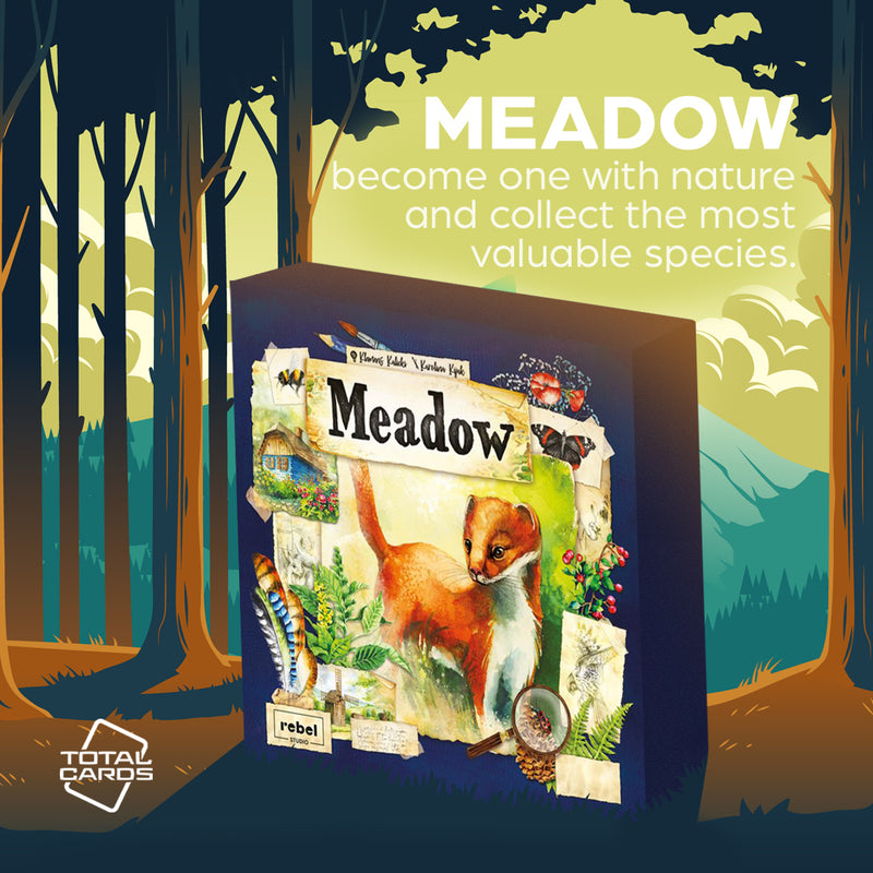 Enter the charming watercolour world of Meadow!