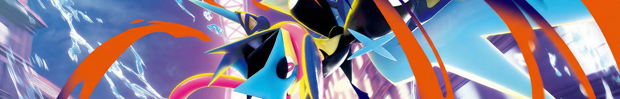 Pokemon - Ninja Spinner