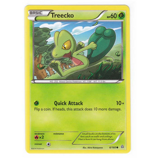 Pokemon - XY Primal Clash - Treecko - 6/160