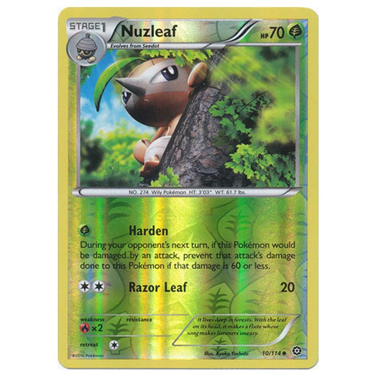 Pokemon - XY - Steam Siege - (Reverse Holo) Nuzleaf - 10/114