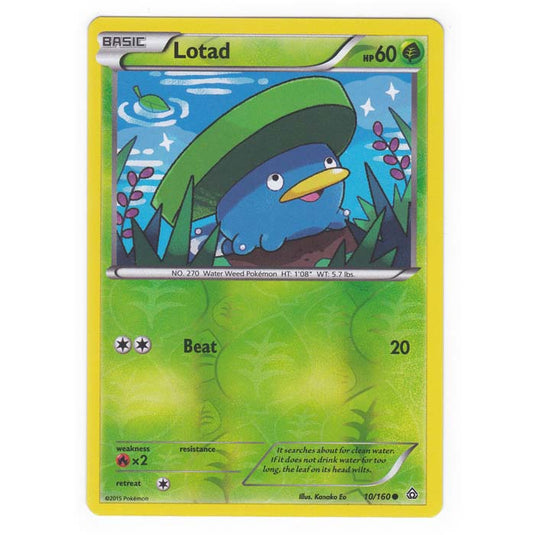 Pokemon - XY Primal Clash - (Reverse Holo) - Lotad - 10/160