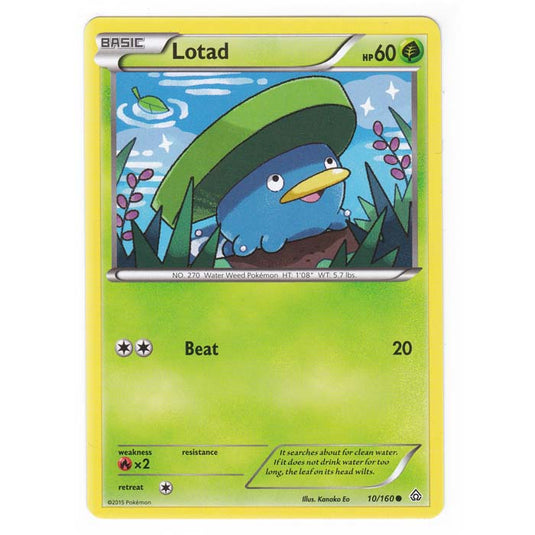 Pokemon - XY Primal Clash - Lotad - 10/160