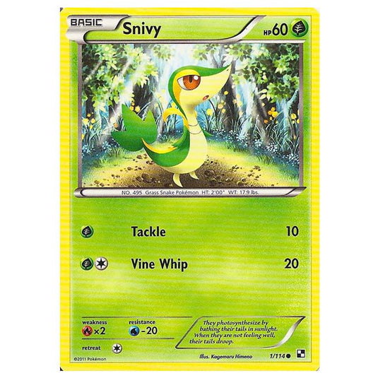 Pokemon - Black & White - Snivy 1/114