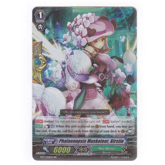 CFV - Blazing Perdition - Phalaenopsis Musketeer Kirstie - 26/144